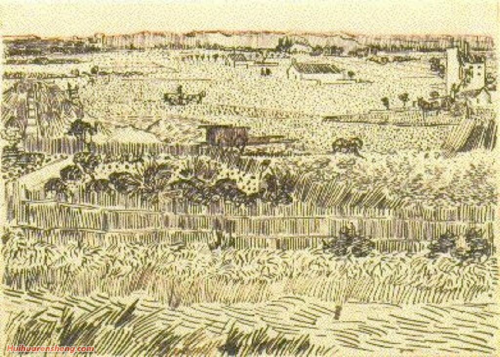 梵高名画赏析《收获景象》梵高最有名的画