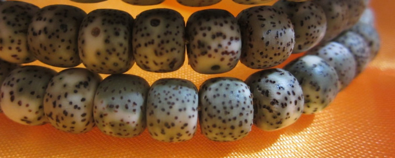 星月菩提老刀什么意思