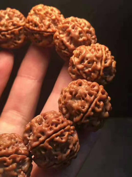手把手教你识别真假金刚菩提子
