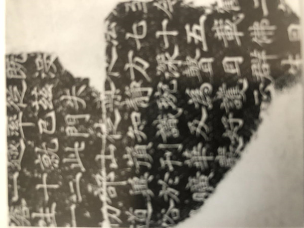 图片68_副本.jpg