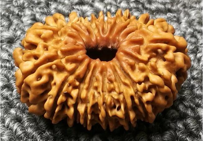 大金刚菩提子几瓣的好?十七瓣金刚菩提子寓意