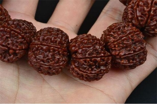 金刚菩提满肉什么意思