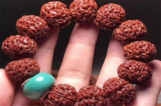 金刚菩提上油了怎么办