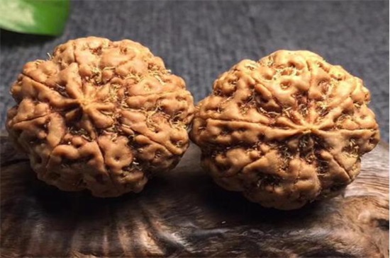 小金刚菩提脏了怎么办