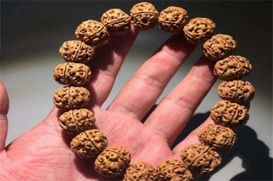 刚买的金刚菩提怎么刷