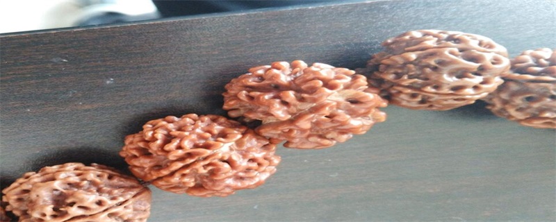 金刚菩提盘龙纹是什么