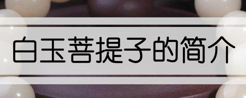 什么是白玉菩提子